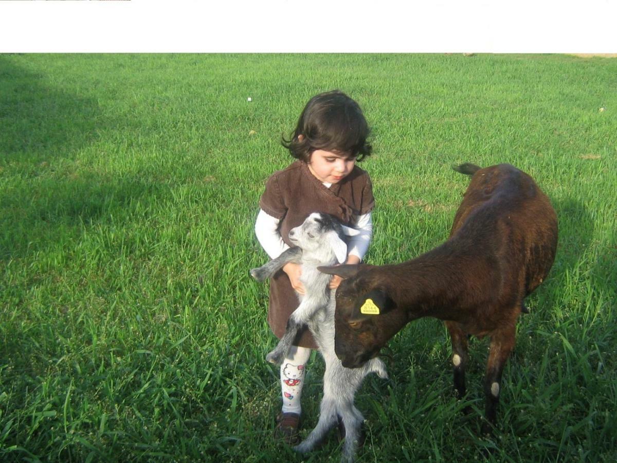 Casa Rural La Casa De Los Pollos Turrubuelo 외부 사진